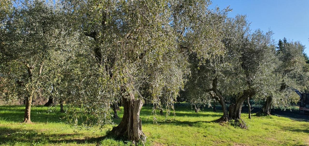 Commuoversi Ssa - Azienda Agricola Ξενοδοχείο Usigliano Εξωτερικό φωτογραφία