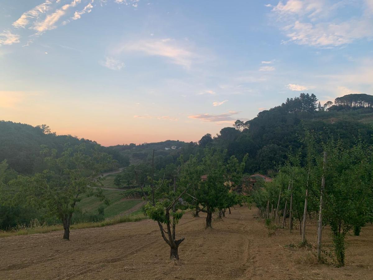 Commuoversi Ssa - Azienda Agricola Ξενοδοχείο Usigliano Εξωτερικό φωτογραφία